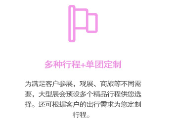 多种行程可选，还可根据参展企业的情况，私人个性订制商旅行程！