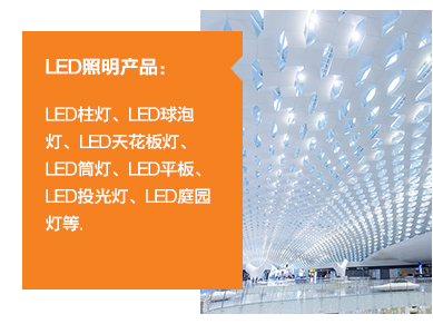 	LED照明产品：LED柱灯、LED球泡灯、LED天花板灯、LED筒灯、LED平板、LED投光灯、LED庭园灯等。